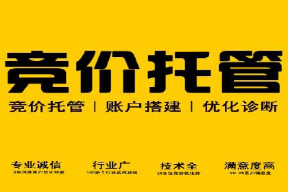 某知名企业SEM优化师的日常操作与策略分享